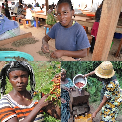 JavaJog 2014 Benefitting Women of the DRC